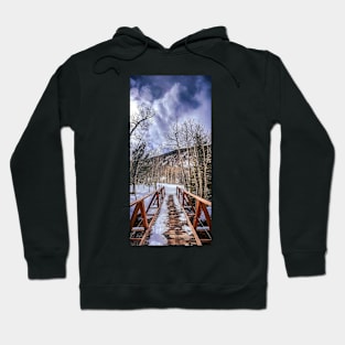 Over The Bridge Hoodie